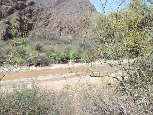 There is water in the Rio Guachipas.